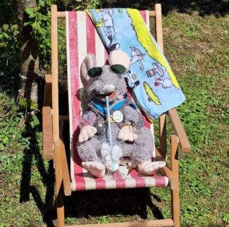 Kasismir liegt im Liegestuhl